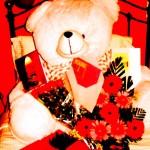 Teddy